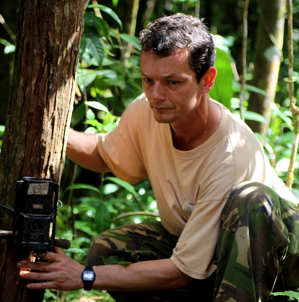 Bart Harmsen, director del programa Panthera en Belice, instalando cámaras trampa. Imagen cortesía de Rob Ewe