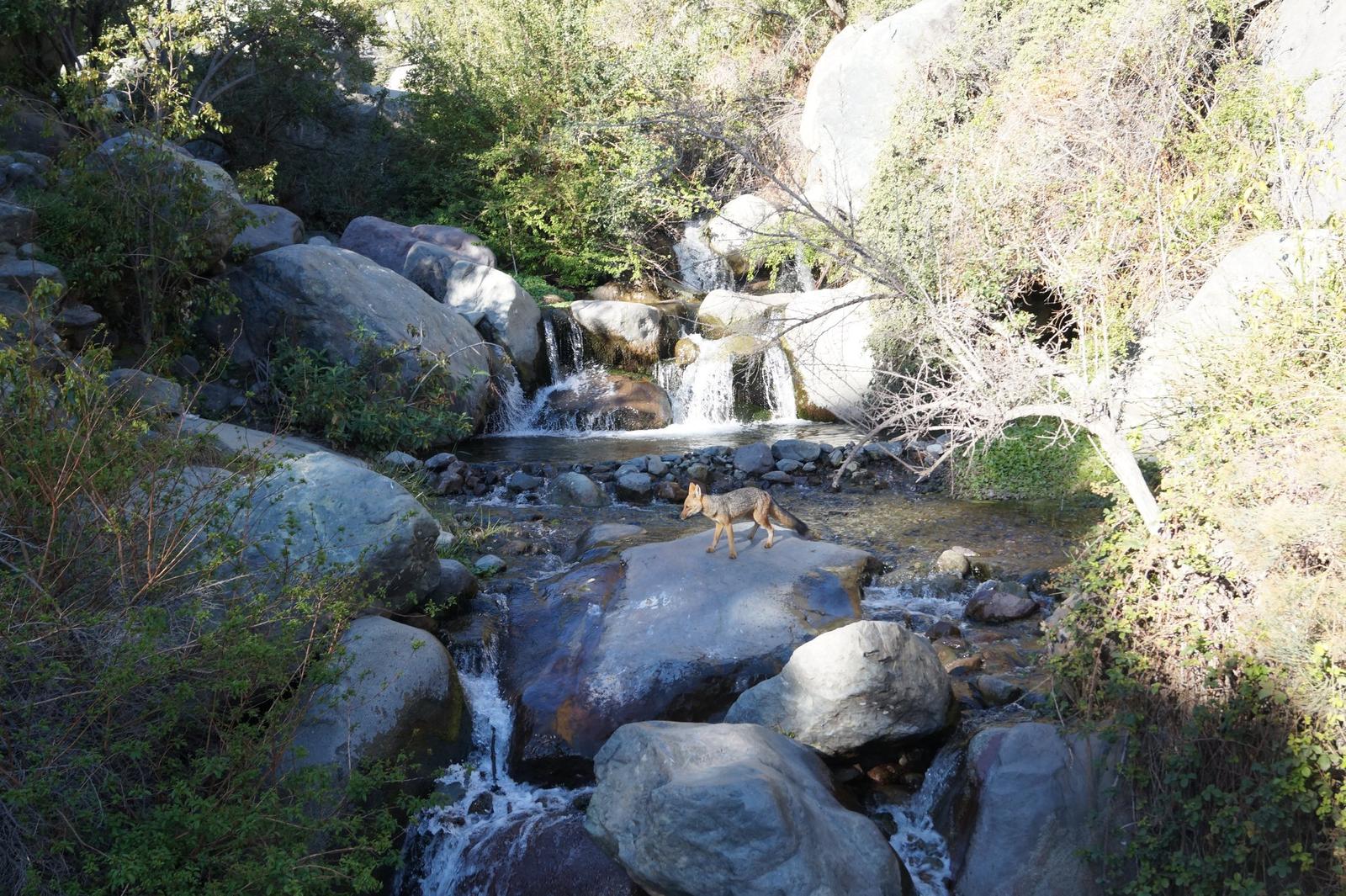 ¿Cuál sumarías a la lista? 5 saltos o cascadas para visitar cerca de Santiago