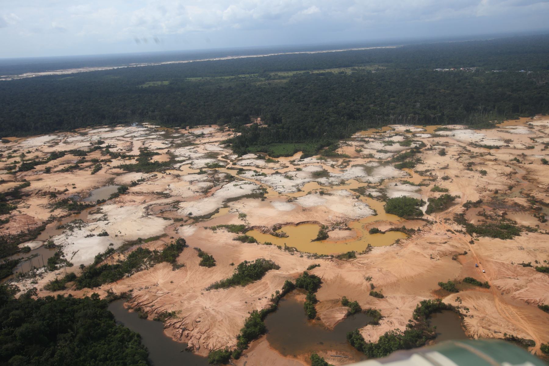 Las deudas del Perú con la restauración de los ecosistemas