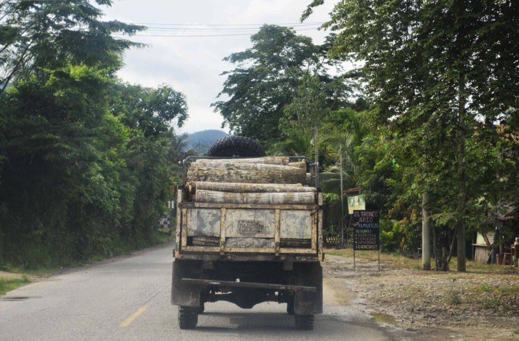 La tala fue una de las actividades económicas que fomentó la degradación de los bosques en la selva central.