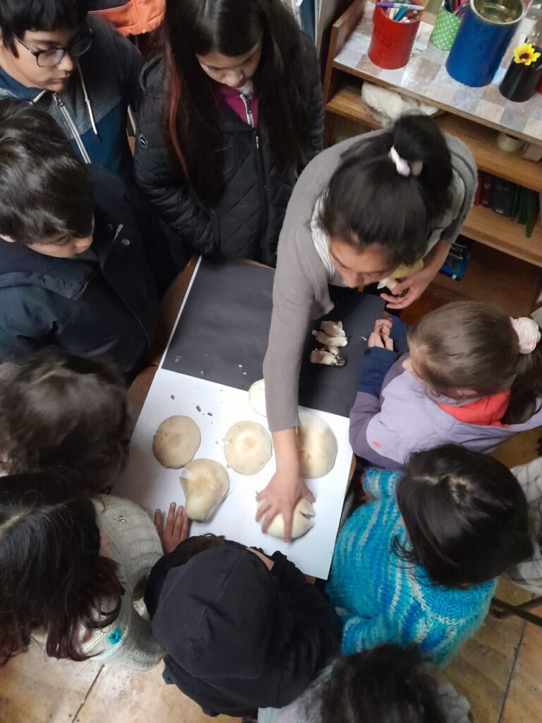 Niños aprendiendo de hongos. Créditos: Dinelly Soto.