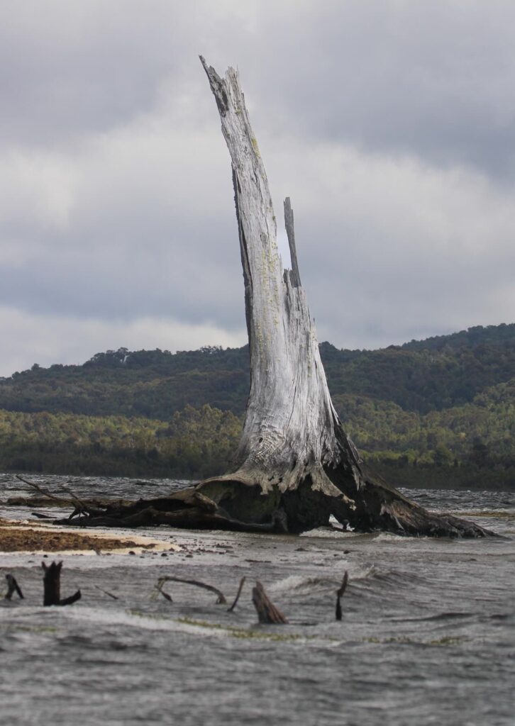 Lago Huillingo Créditos: Diego Navarro