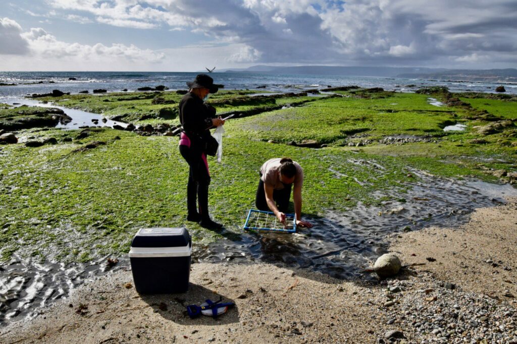 INVESTIGACIÓN MAREA VERDE_créditos UNAB-SECOS