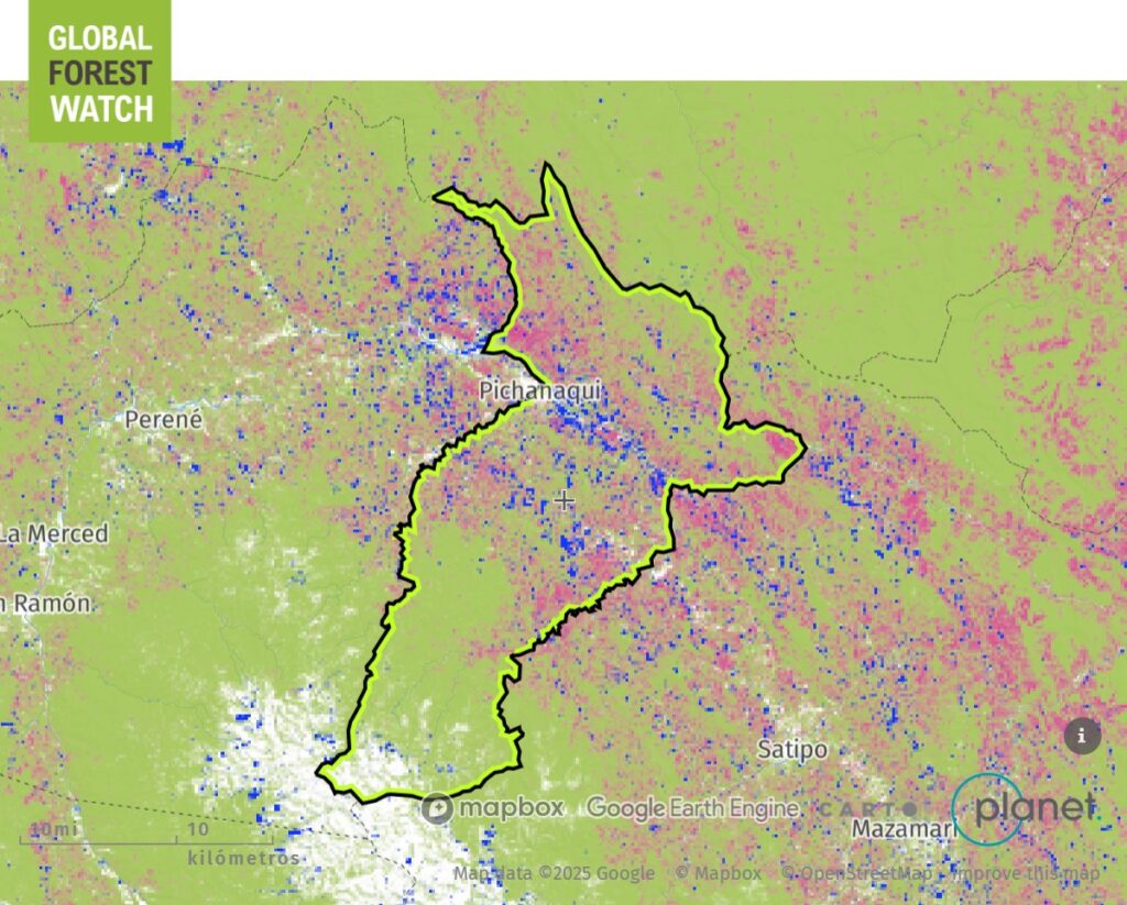 Mapa Satelital Pichanaki Global Forest Watch