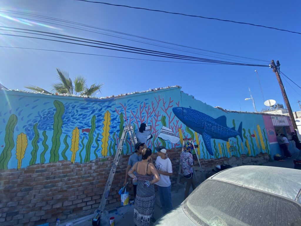 Como resultado de una convocatoria a artistas, se creó un mural colaborativo en el centro de la ciudad de La Paz, mostrando al icónico tiburón ballena y un crucero roto por la mitad. Créditos: Cortesía BCSicletos / Mongabay