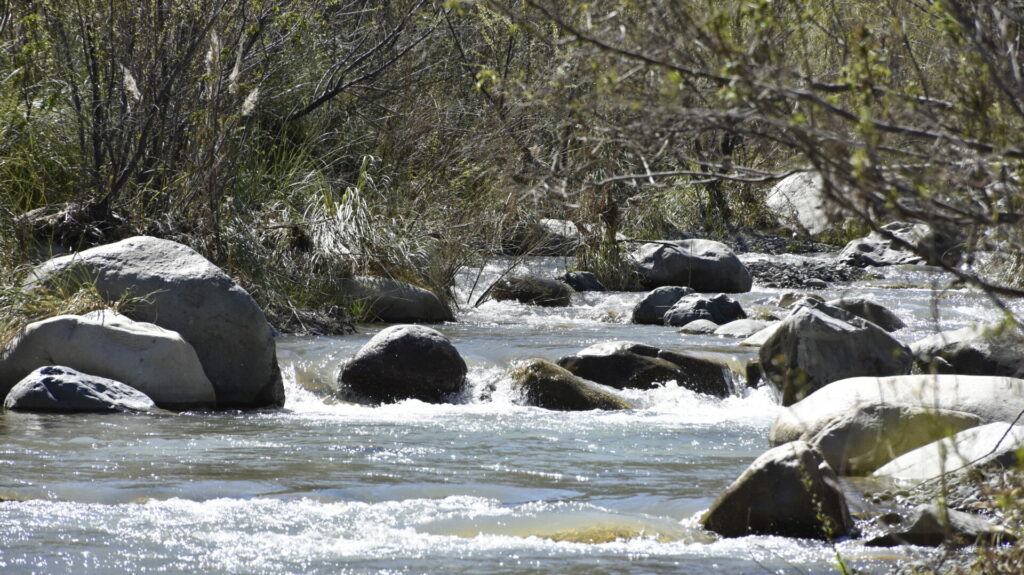 Parque Nacional Río Clarillo. Créditos: Corporación Nacional Forestal (CONAF).