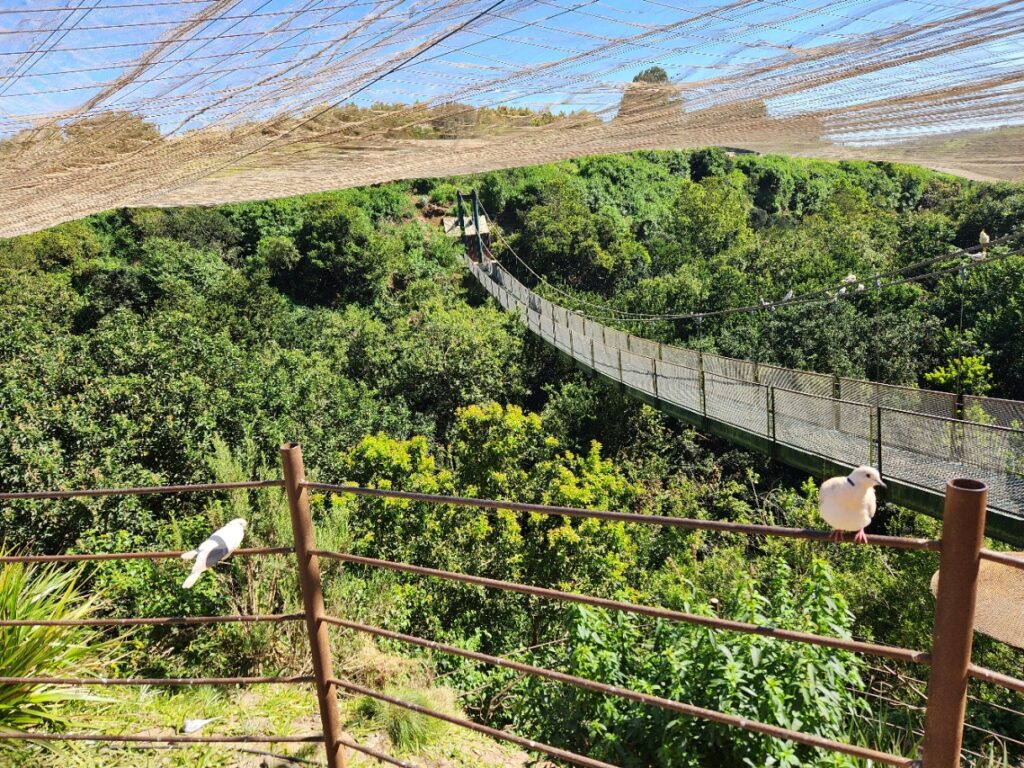 Parque Tricao. Créditos: Aeveraal.