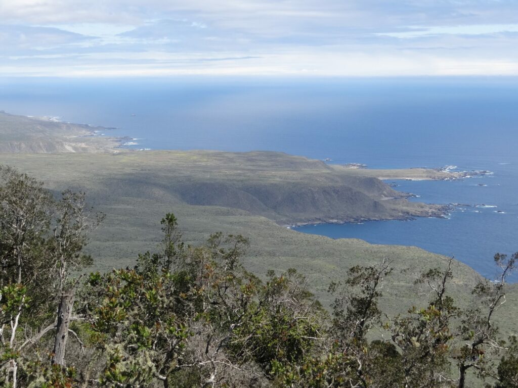 Parque Nacional Fray Jorge. Créditos: Corporación Nacional Forestal (CONAF).