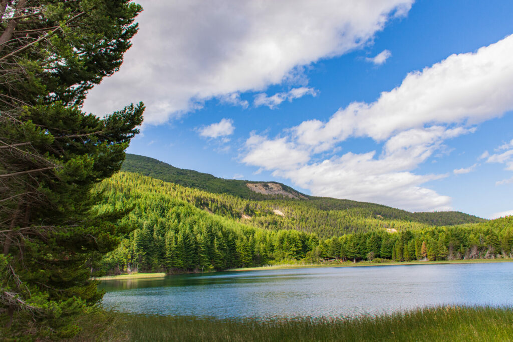 Reserva Nacional Coyhaique. Créditos: Corporación Nacional Forestal (CONAF).