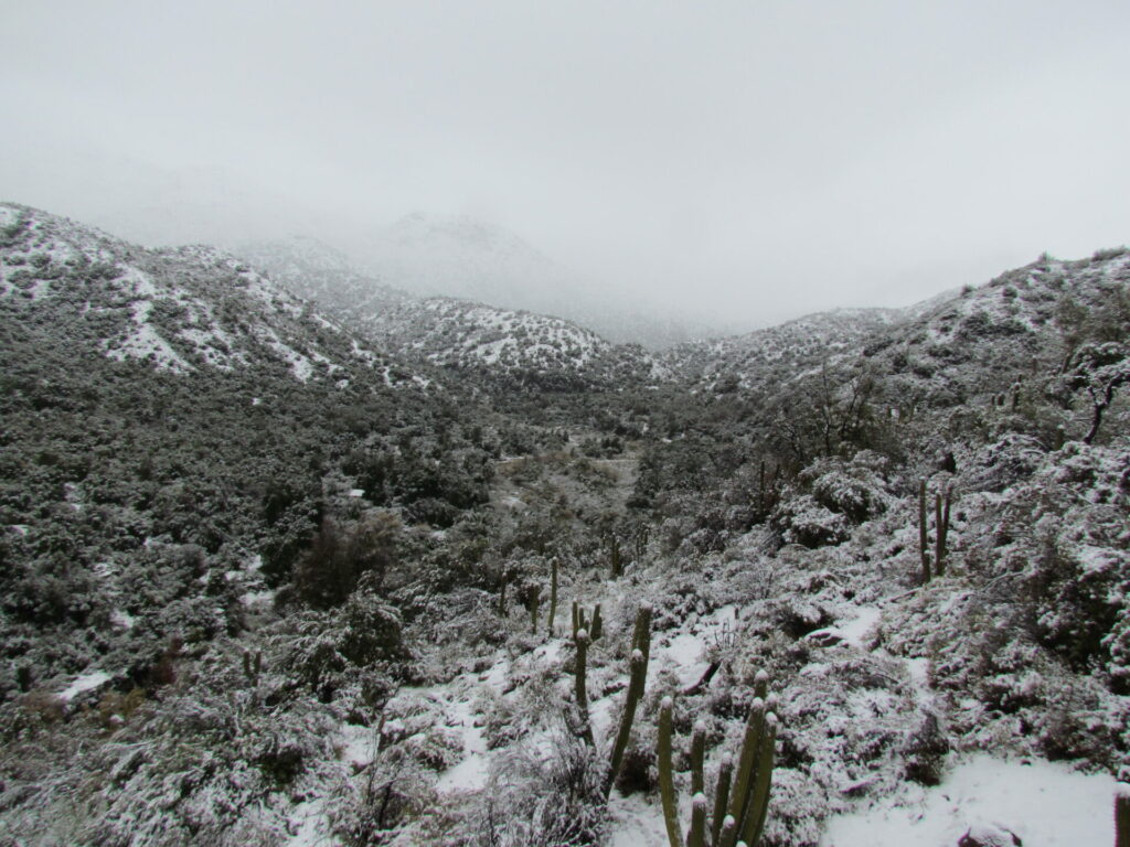 Parque Nacional Río Clarillo. Créditos: Corporación Nacional Forestal (CONAF).