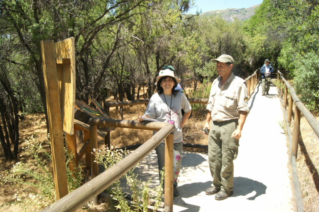 Reserva Nacional Río Los Cipreses. Créditos: Corporación Nacional Forestal (CONAF).