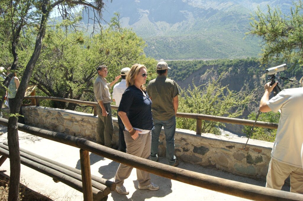 Reserva Nacional Río Los Cipreses. Créditos: Corporación Nacional Forestal (CONAF).