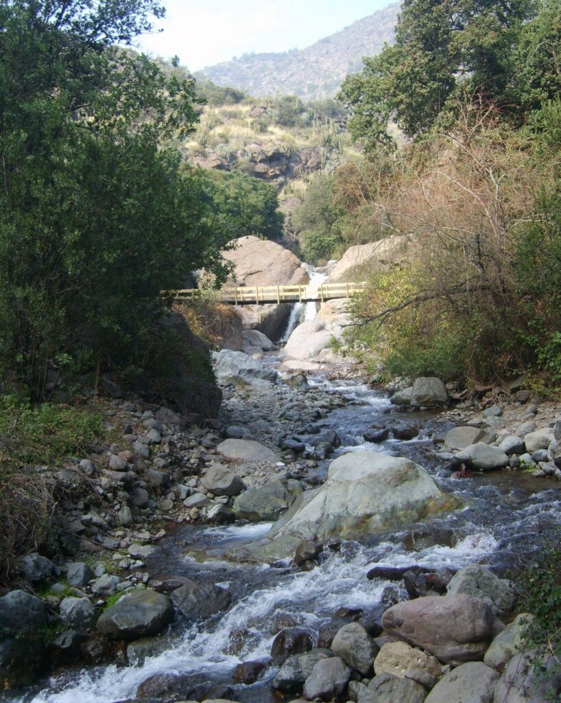 Parque Natural Aguas de Ramón. Créditos: Lycaon.cl.