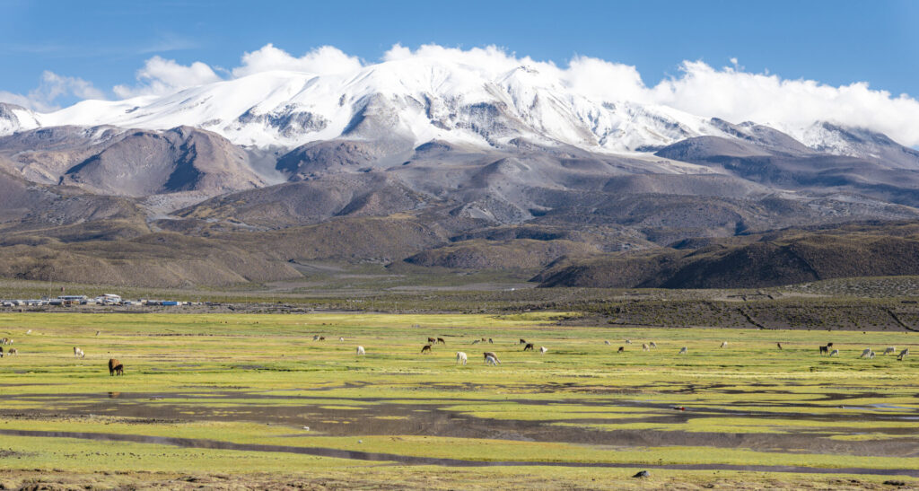 Parque Nacional Volcán Isluga - Región de Tarapacá