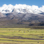 Parque Nacional Volcán Isluga - Región de Tarapacá