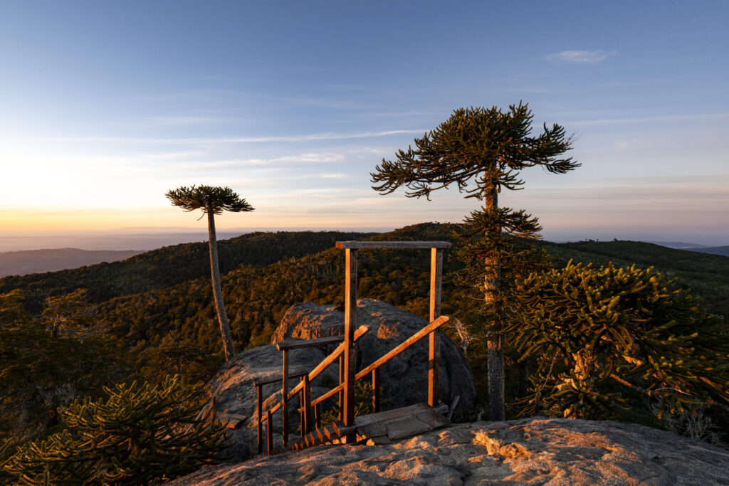 Parque Nacional Nahuelbuta - Región del Biobío La Araucanía. Créditos Benjamín Valenzuela