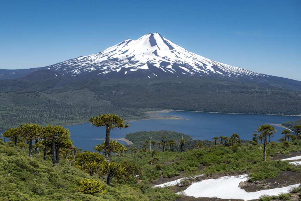 Parque Nacional Conguillío - Región de La Araucanía- Créditos Benjamín Valenzuela