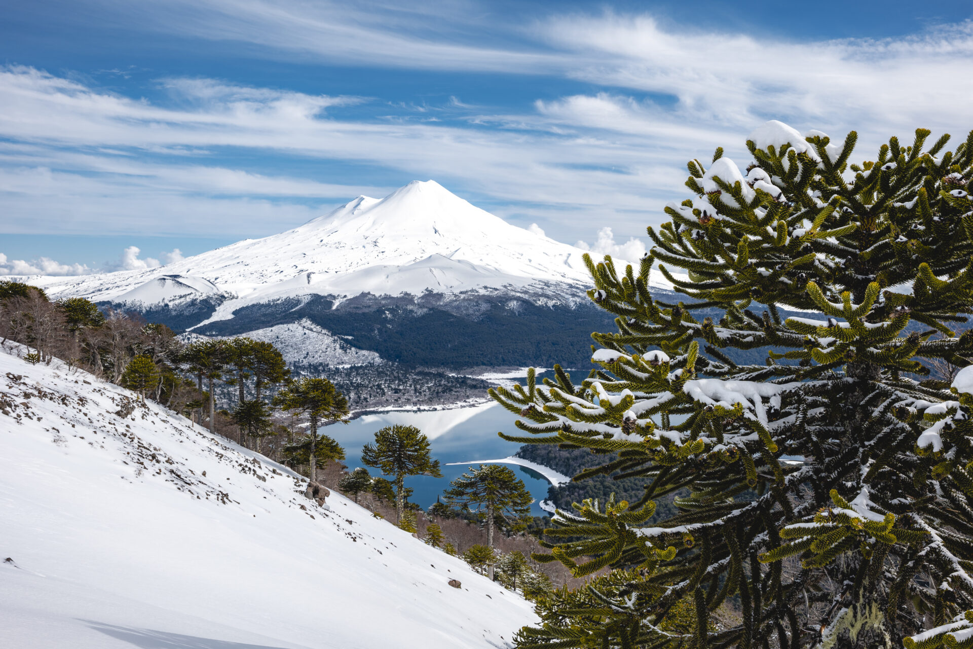 Conoce los 46 parques nacionales de Chile