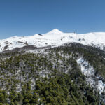 Parque Nacional Villarrica. Créditos: Benjamín Valenzuela