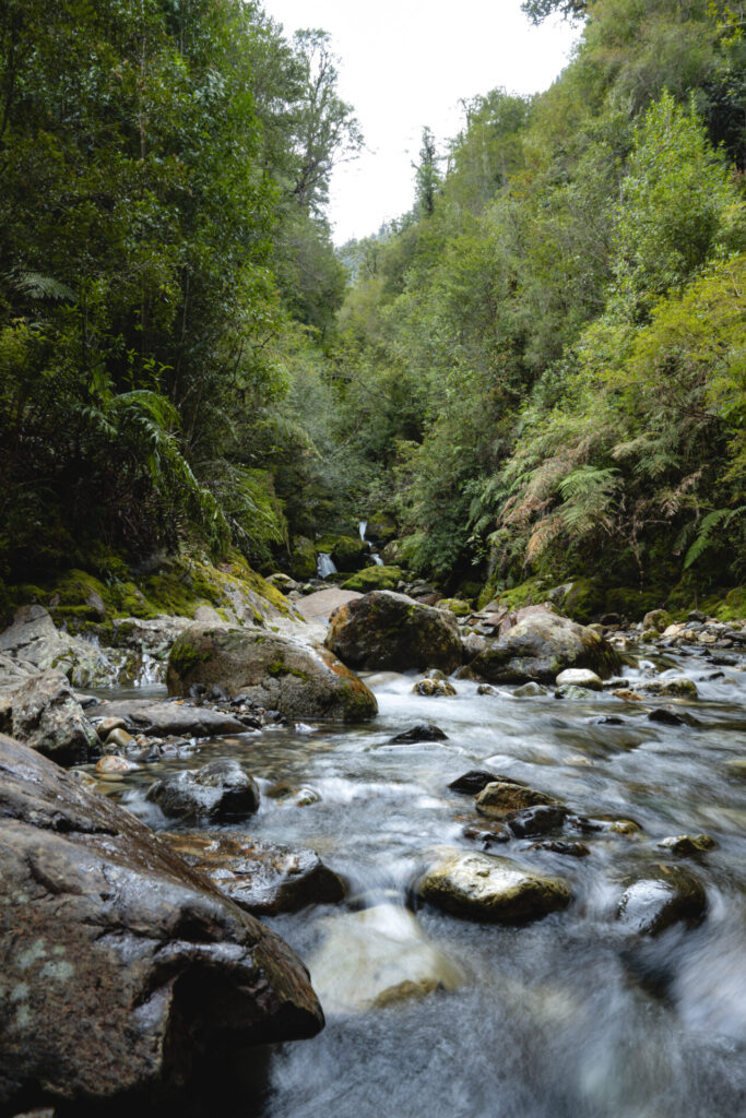 Parque Nacional Alerce Andino - Región de Los Lagos (1)