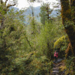 32 Parque Nacional Pumalín Douglas Tompkins - Región de Los LagosCréditos: Benjamín Valenzuela