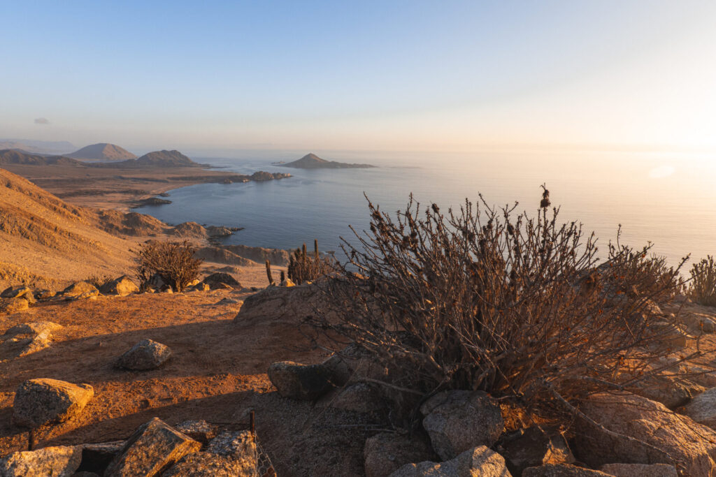 Parque Nacional Pan de Azúcar. Créditos Benjamín Valenzuela.