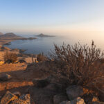 Parque Nacional Pan de Azúcar. Créditos Benjamín Valenzuela.