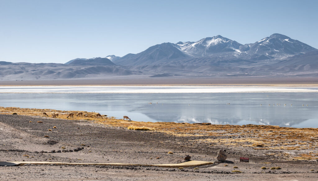 Parque Nacional Nevado Tres Cruces. Créditos Benjamín Valenzuela.