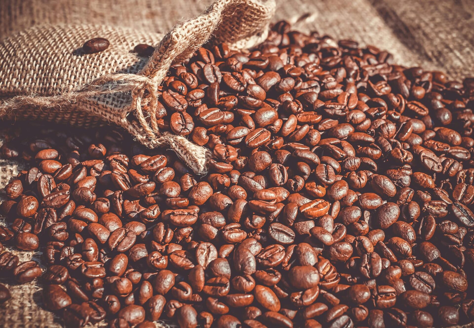 Un vistazo a ese desconocido mundo tras cada grano de café