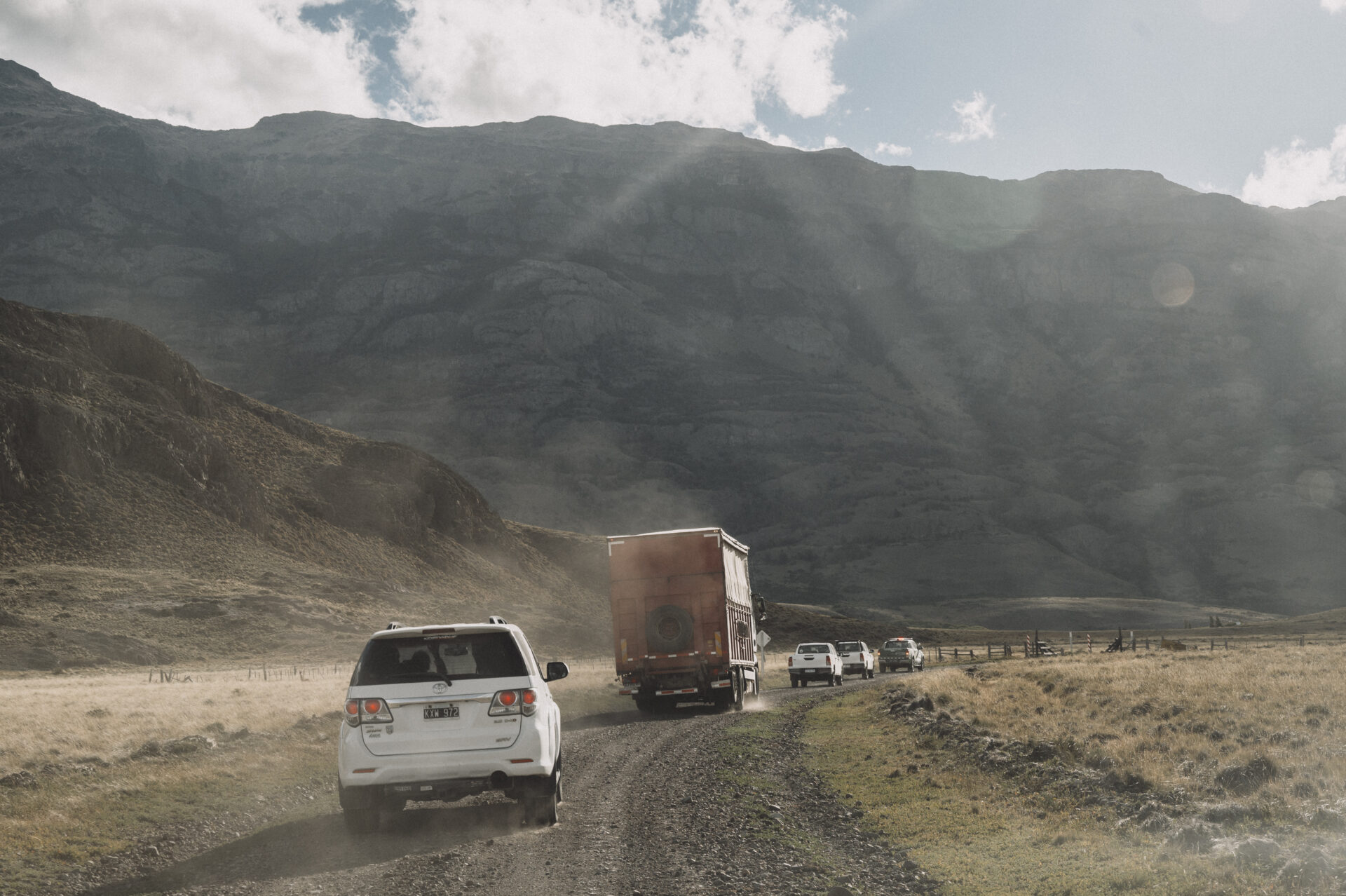 Hito para la conservación en Latinoamérica: Argentina y Chile hacen historia con la primera translocación binacional de ñandúes