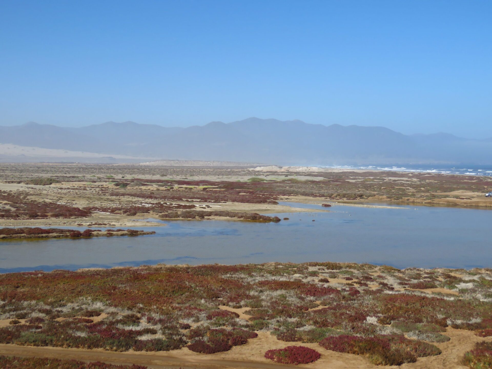 Humedal La Boca de Los Choros: un refugio olvidado entre la tierra y el mar