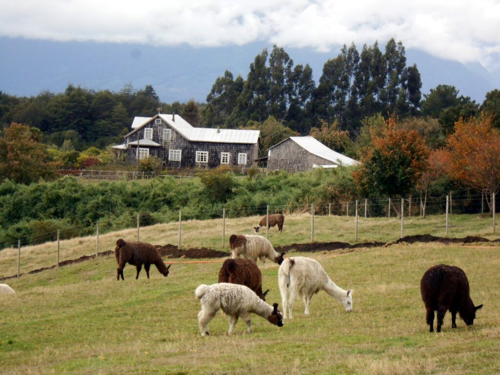 Puerto Varas Rosemary Hoff