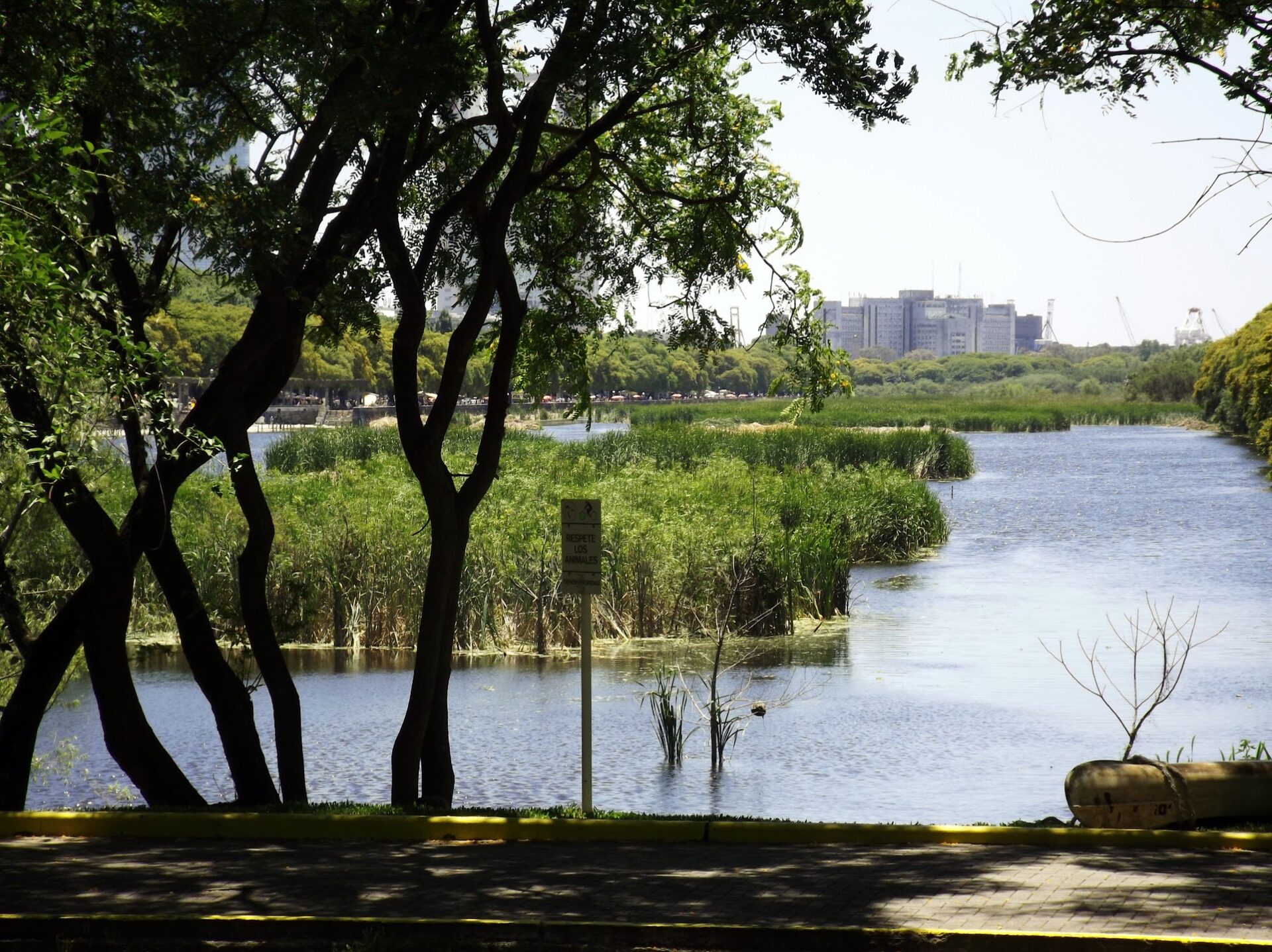 Reserva Ecológica Costanera Sur. Créditos: Roberto Ianotti