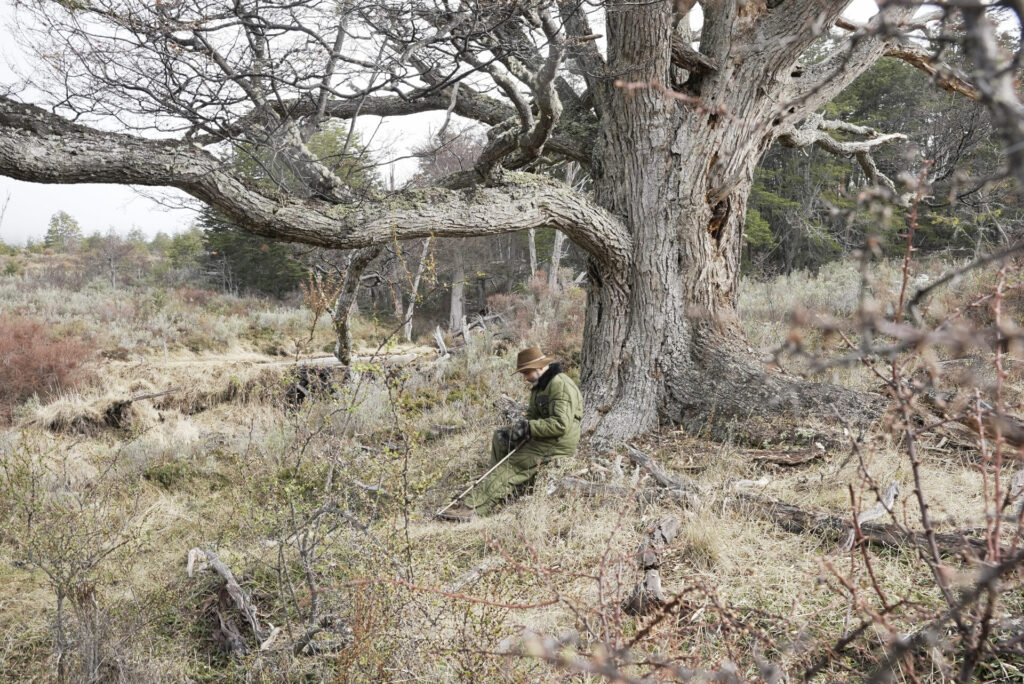 Germán Genskowski sentado en el bosque austral. © Mateo Barrenengoa