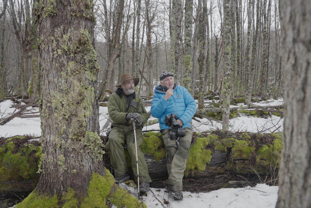 Germán junto a Guy Wenborne en el bosque austral. © Mateo Barrenengoa