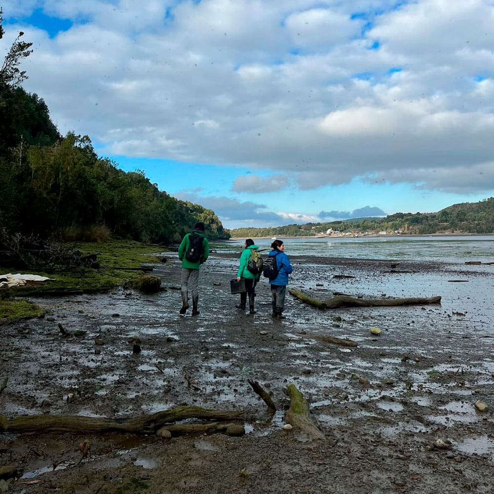 Ser del Sur. Creditos: Patagonia