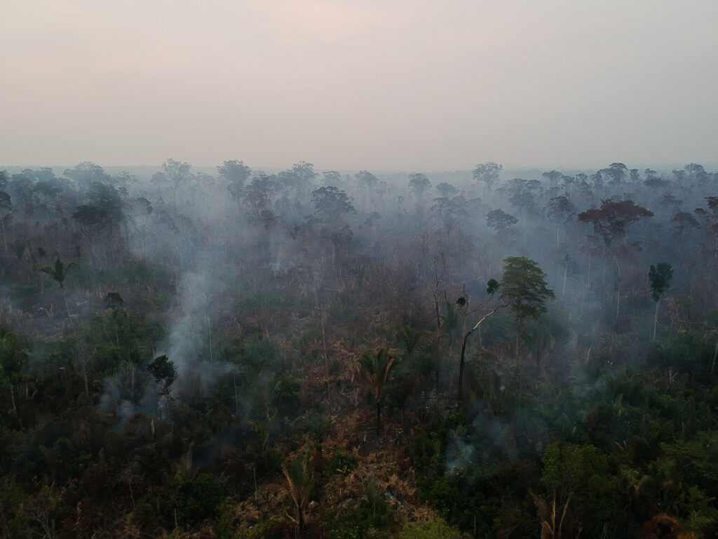 Bosque deforestado y en llamas en el municipio de Apuí, estado de Amazonas, Brasil. El seguimiento de la degradación forestal será un reto para el fondo, ya que los bosques degradados pueden seguir apareciendo en pie en las imágenes de satélite, ya que las copas de los árboles a veces no se queman. Créditos: Bruno Kelly / Amazônia Real, CC BY NC SA