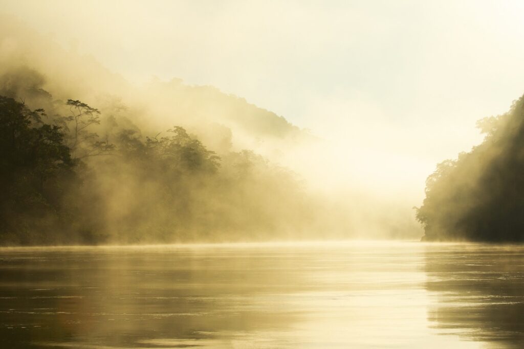 La cuenca del río Usumacinta, entre México y Guatemala, es uno de los últimos bastiones donde aún habita una población reducida de águila harpía. Créditos: cortesía Santiago Gibert-Isern