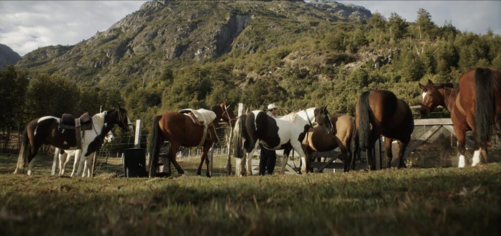 Captura de pantalla del microdocumental "Tras la conservación cultural y natural". Créditos: Programa Austral Patagonia