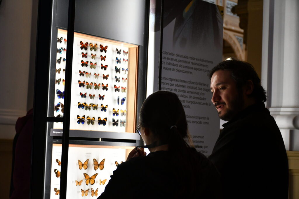 Exposición "Mariposas y polillas, colores en movimiento". Créditos: MNHN
