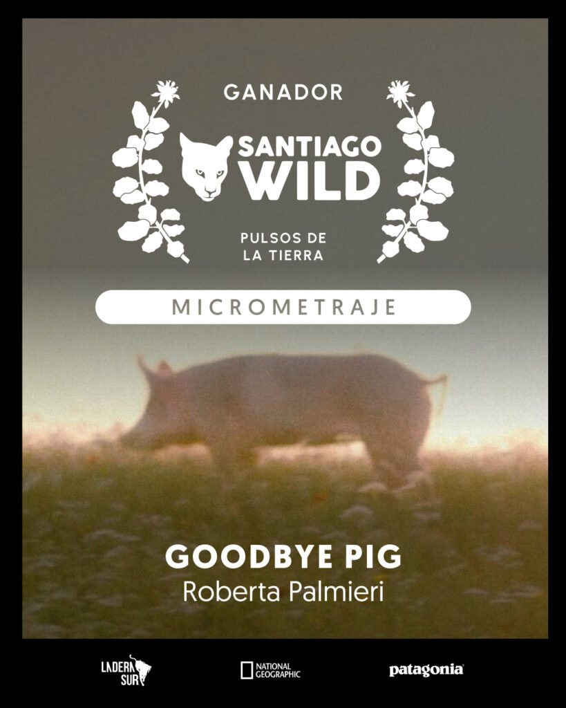 Goodbye Pig, ganador en la competencia de Santiago Wild. Créditos: Ladera Sur.
