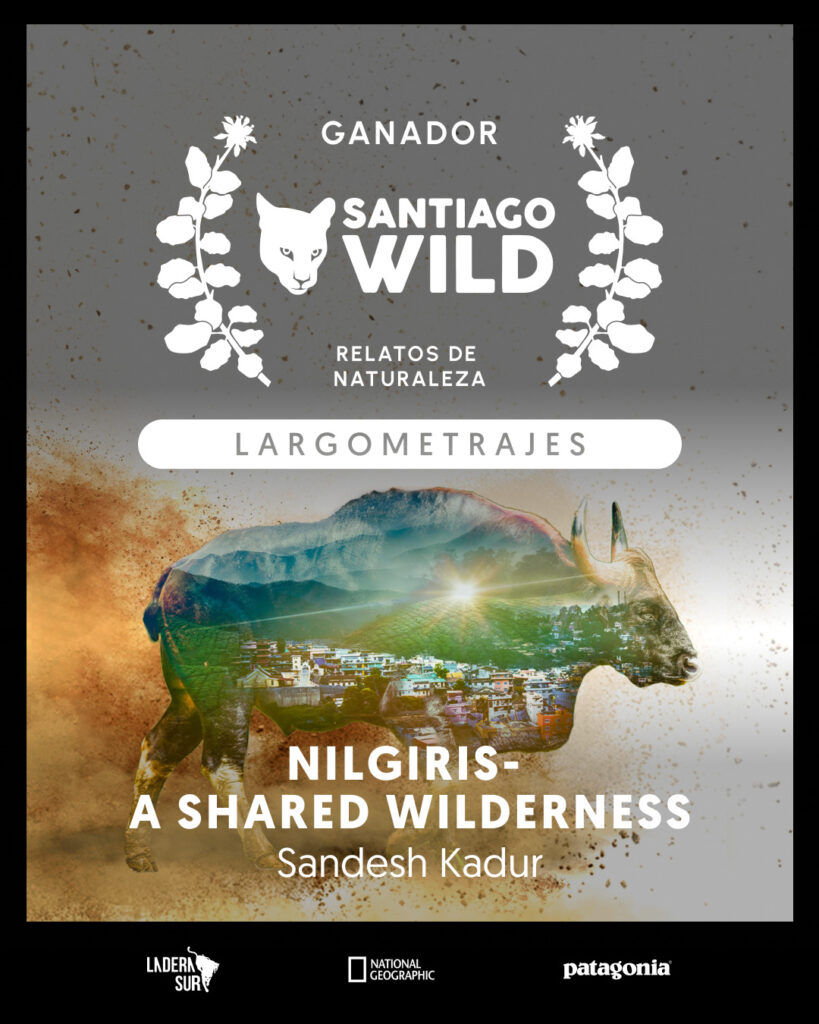 Nilgiris – A Shared Wilderness, ganador en la competencia de Santiago Wild. Créditos: Ladera Sur.