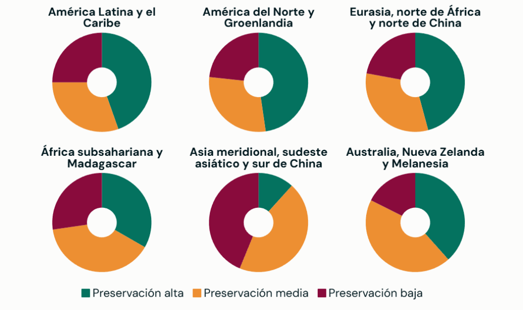 Índice de preservación forestal por región biogeográfica. Fuente de datos: Grantham et al, 2020. Gráfico: Dialogue Earth