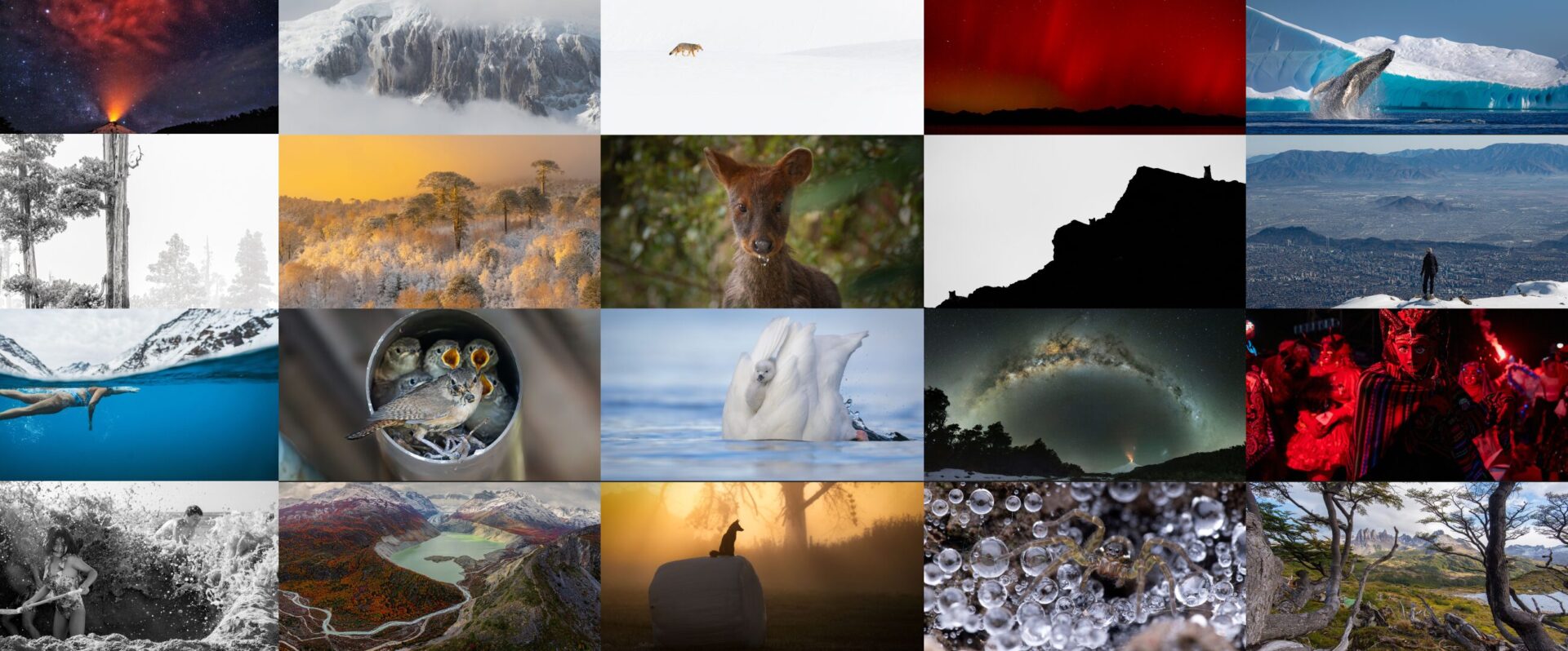 ¡Todos a votar! Las 20 mejores fotografías del concurso “La mejor foto de Chile 2024 – 2025”