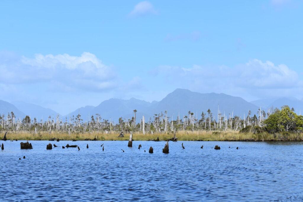Istmo de Ofqui, río San Tadeo. Créditos: Nicolás Troncoso