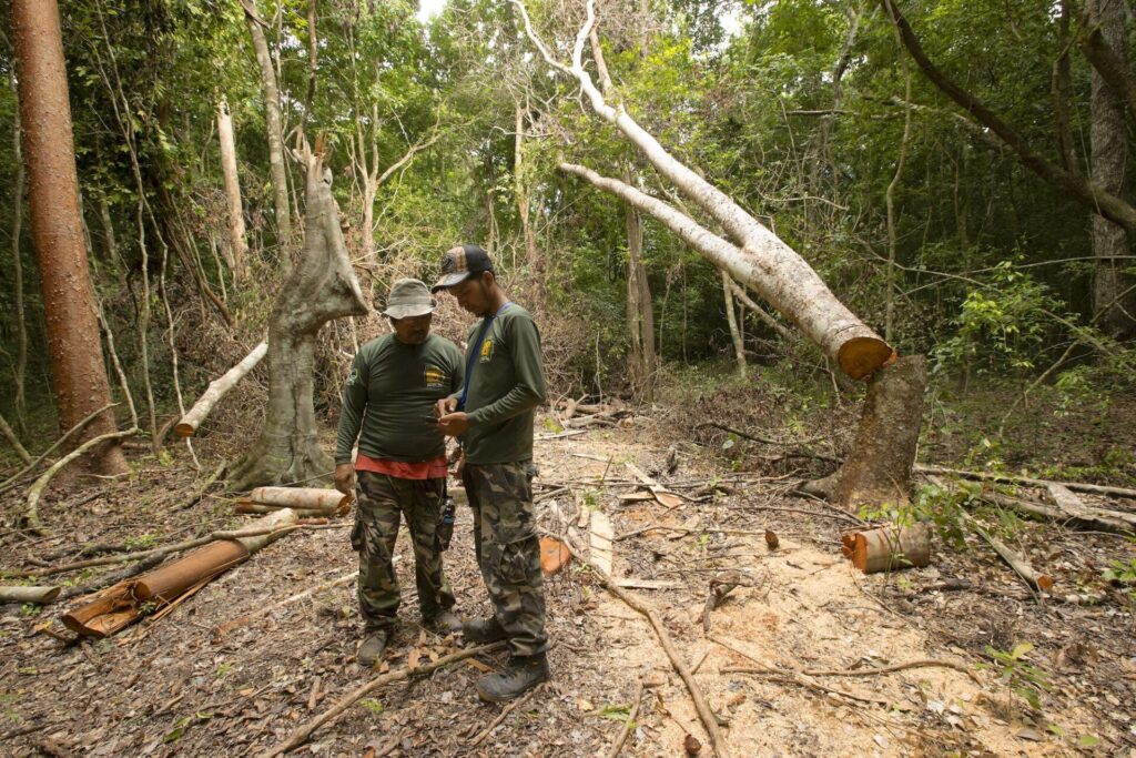 Guardaparques de una reserva estatal de la Selva Maya capturan un “punto caliente de deforestación”. Créditos: cortesía Santiago Gibert-Isern