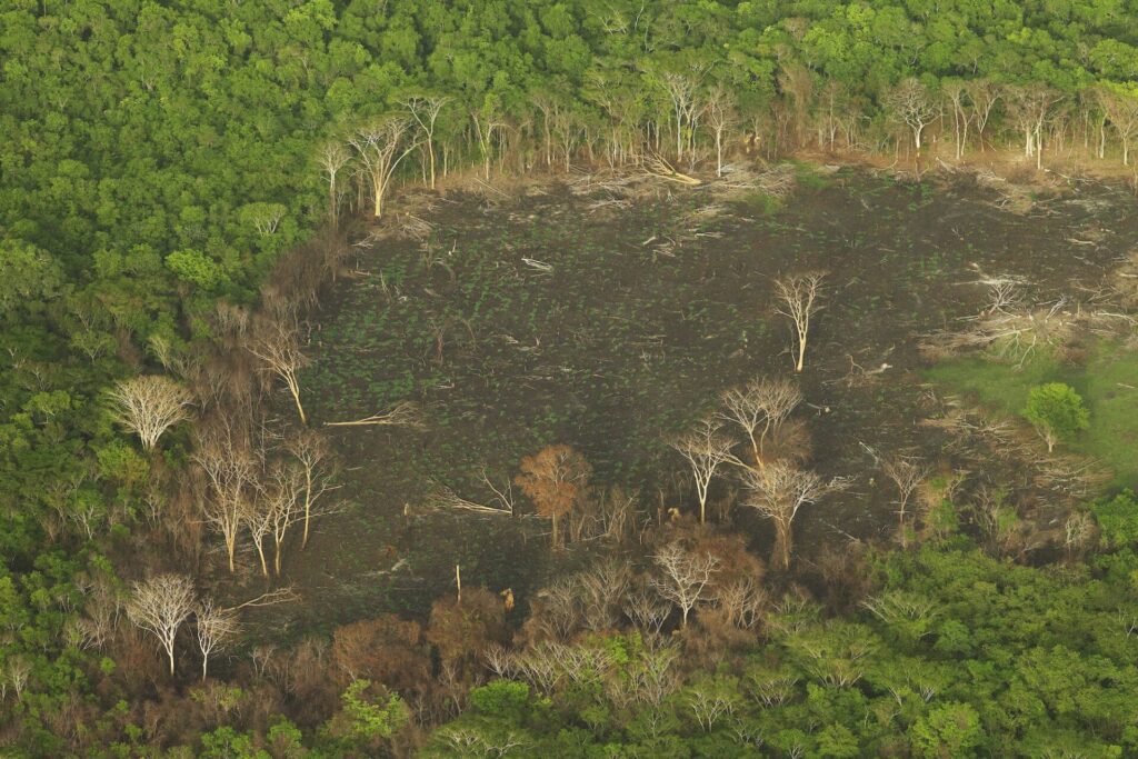 Una de las grandes presiones que se cierne sobre el complejo de la gran Selva Maya es el avance de la frontera agropecuaria. Créditos: cortesía Santiago Gibert-Isern