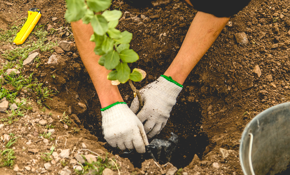 Descarbonizados: ¿Sirven las acciones individuales para luchar contra el cambio climático?