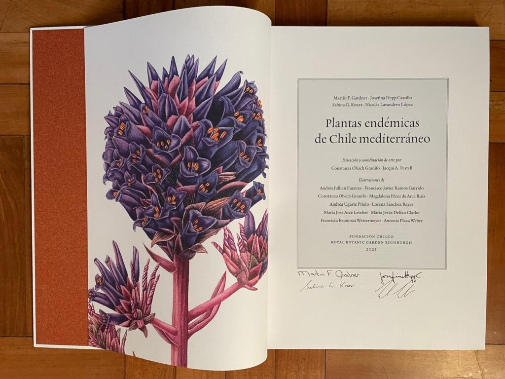 Libro. Créditos Josefina Hepp.