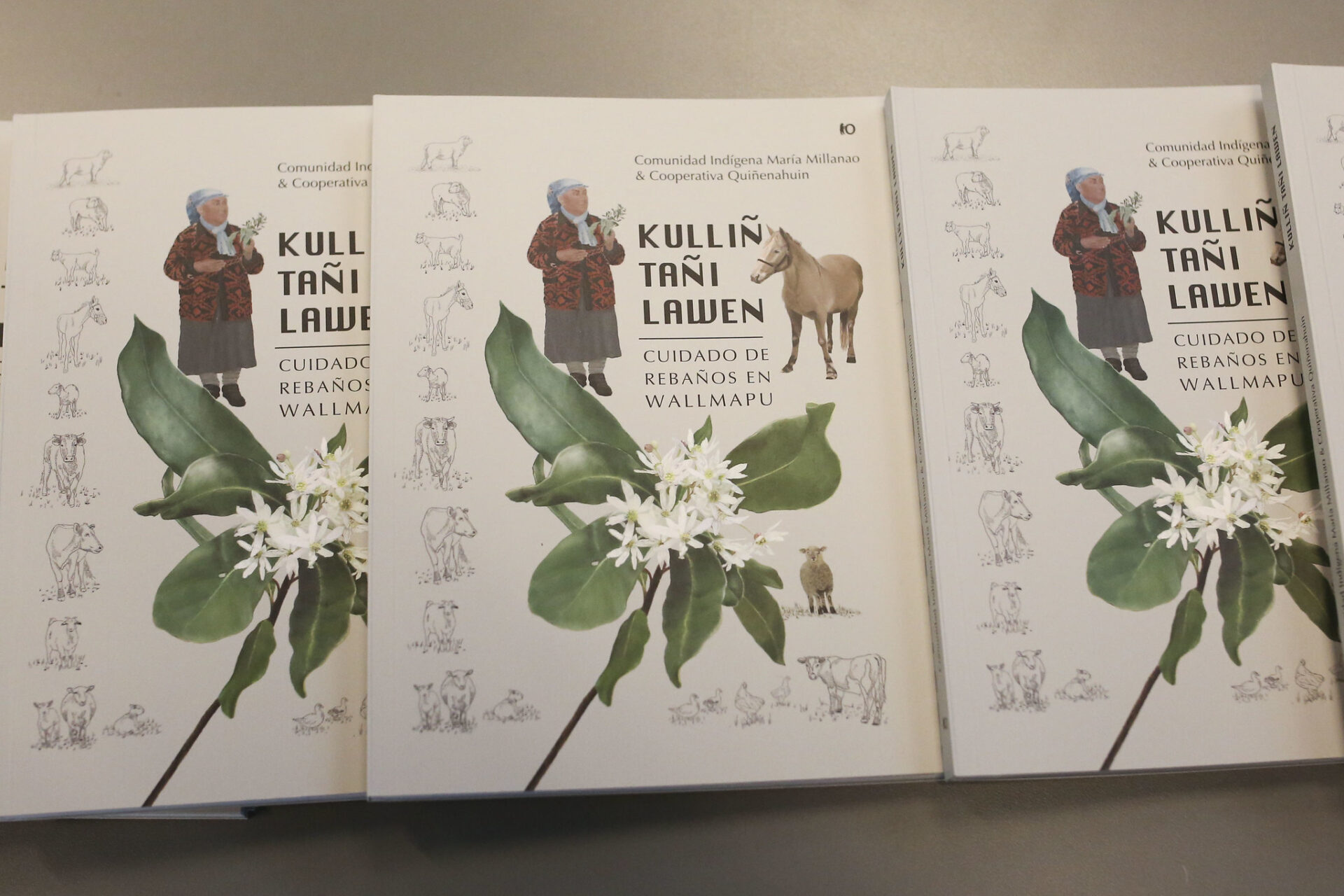 Portada Kulliñ Tañi Lawen. Créditos: Cristobal Saavedra